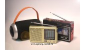 Портативные аудио-радиосистемы